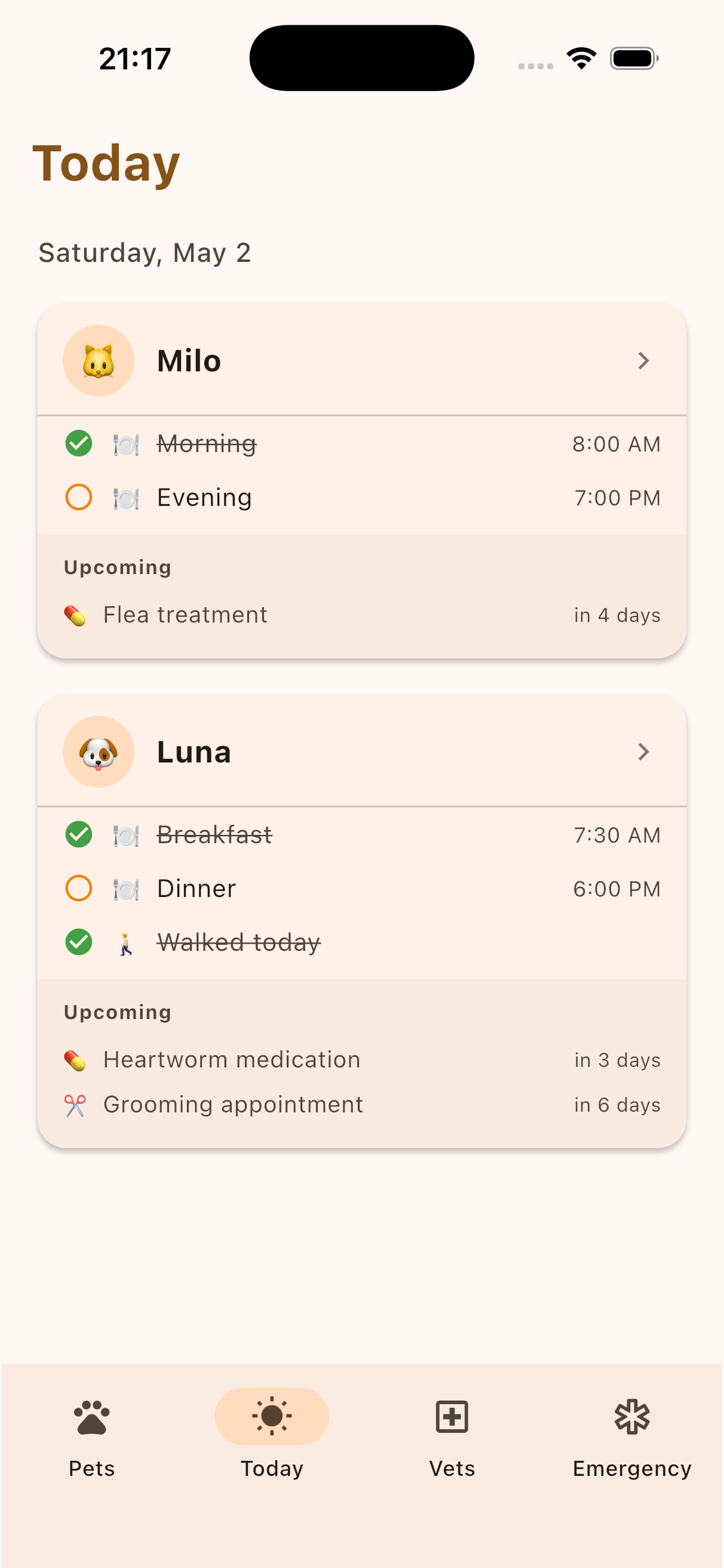 Today view with reminders, meals, and walks